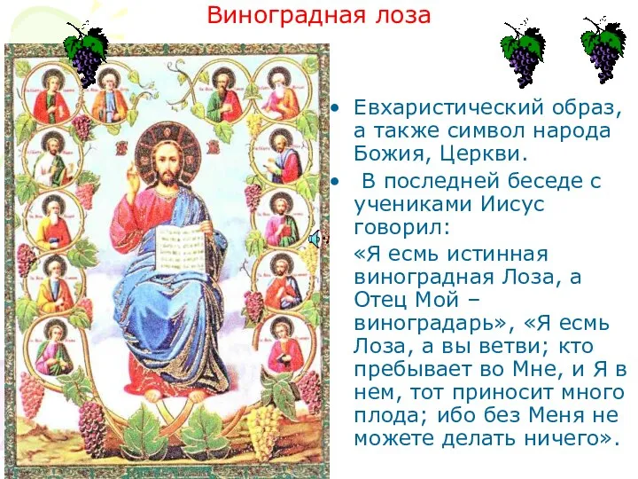 Виноградная лоза Евхаристический образ, а также символ народа Божия, Церкви.
