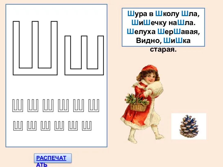 РАСПЕЧАТАТЬ Шура в Школу Шла, ШиШечку наШла. Шелуха ШерШавая, Видно, ШиШка старая.