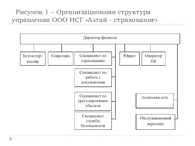 Рисунок 1 – Организационная структура управления ООО НСГ «Алтай - страхование»
