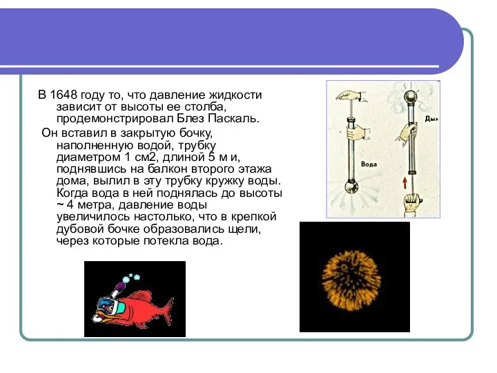 В 1648 году то, что давление жидкости зависит от высоты