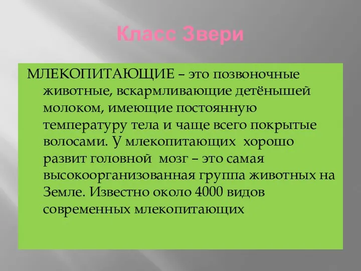 Класс Звери МЛЕКОПИТАЮЩИЕ – это позвоночные животные, вскармливающие детёнышей молоком,