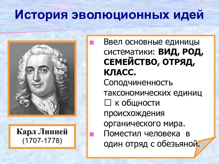 Ввел основные единицы систематики: ВИД, РОД, СЕМЕЙСТВО, ОТРЯД, КЛАСС. Соподчиненность