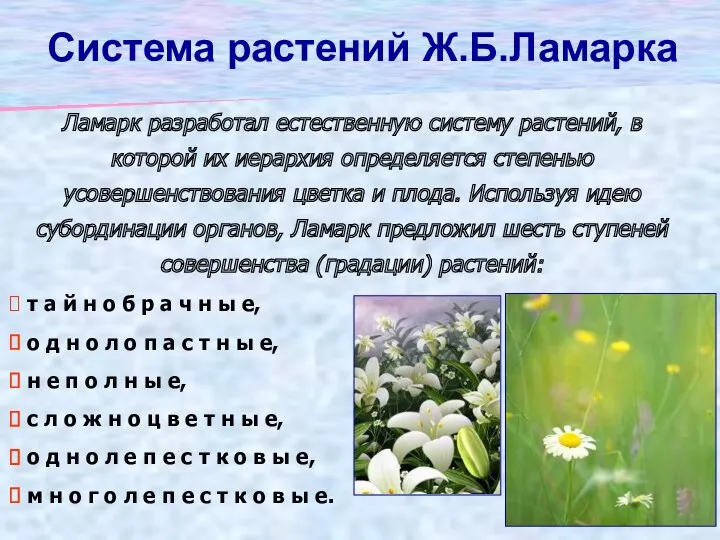 Система растений Ж.Б.Ламарка Ламарк разработал естественную систему растений, в которой