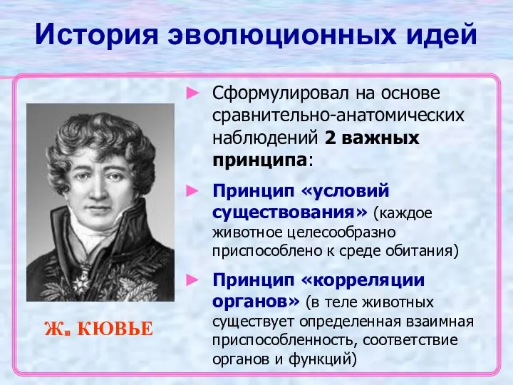 История эволюционных идей Ж. КЮВЬЕ Сформулировал на основе сравнительно-анатомических наблюдений