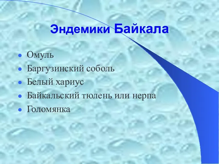 Эндемики Байкала Омуль Баргузинский соболь Белый хариус Байкальский тюлень или нерпа Голомянка