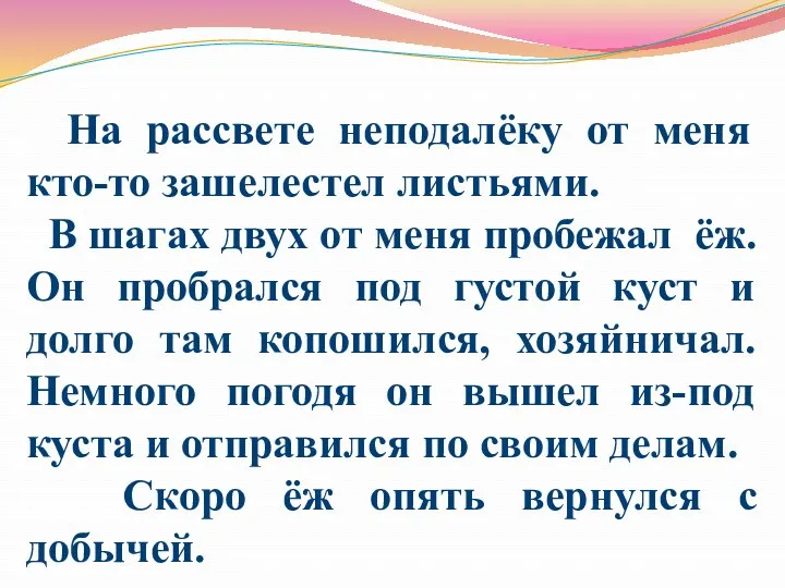 На рассвете неподалёку от меня кто-то зашелестел листьями. В шагах