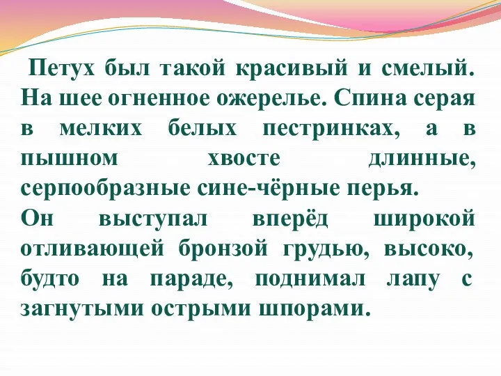 Петух был такой красивый и смелый. На шее огненное ожерелье.