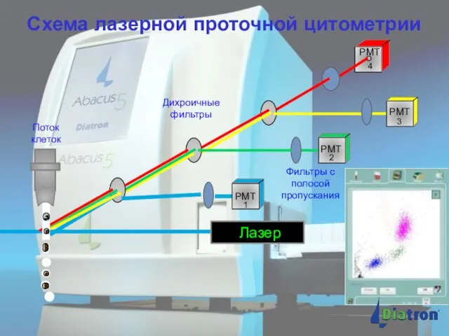 PMT PMT PMT PMT Дихроичные фильтры Фильтры с полосой пропускания