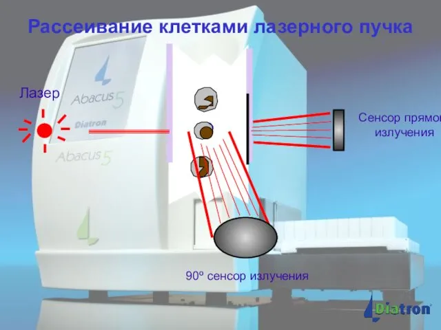 Рассеивание клетками лазерного пучка