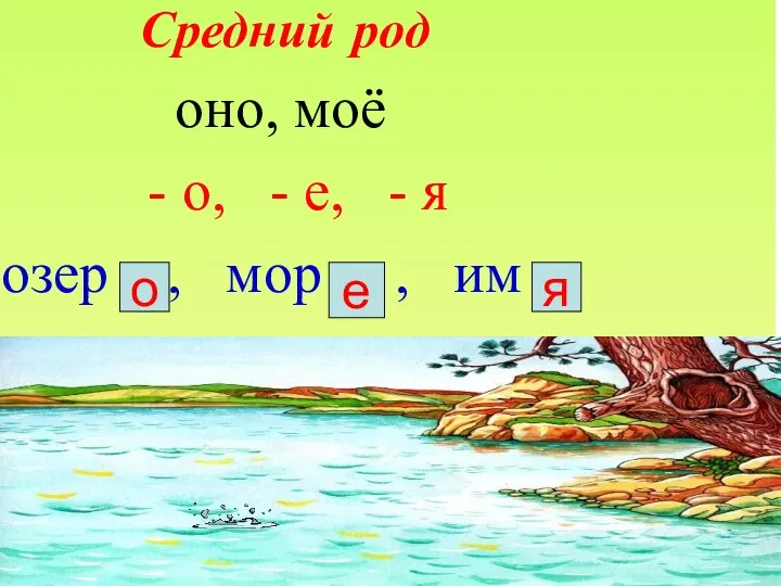 Средний род оно, моё - о, - е, - я