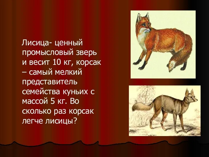 Лисица- ценный промысловый зверь и весит 10 кг, корсак –