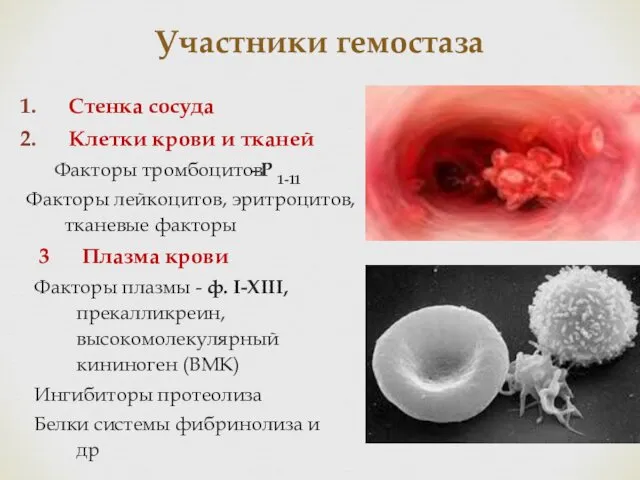 Участники гемостаза Стенка сосуда Клетки крови и тканей Факторы тромбоцитов Факторы лейкоцитов, эритроцитов,