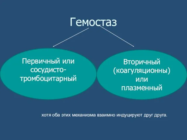 Гемостаз Первичный или сосудисто-тромбоцитарный Вторичный (коагуляционны) или плазменный хотя оба этих механизма взаимно индуцируют друг друга.