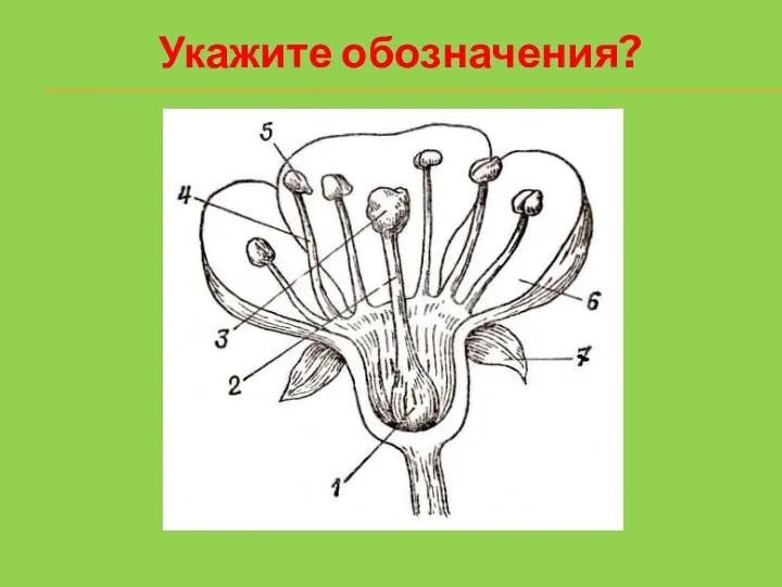 Укажите обозначения?