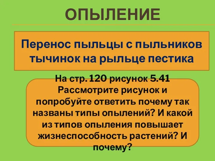 ОПЫЛЕНИЕ Перенос пыльцы с пыльников тычинок на рыльце пестика На