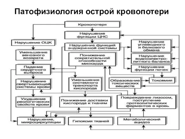 Патофизиология острой кровопотери