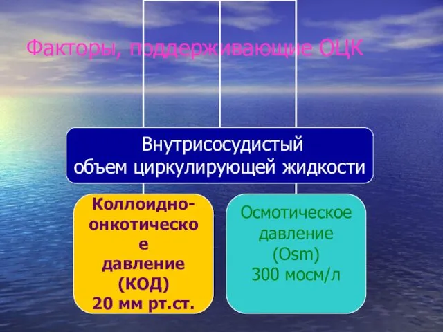 Факторы, поддерживающие ОЦК