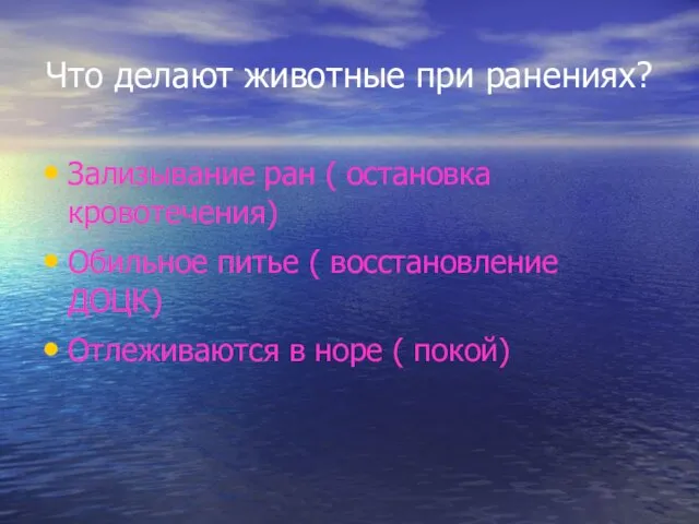 Что делают животные при ранениях? Зализывание ран ( остановка кровотечения) Обильное питье (