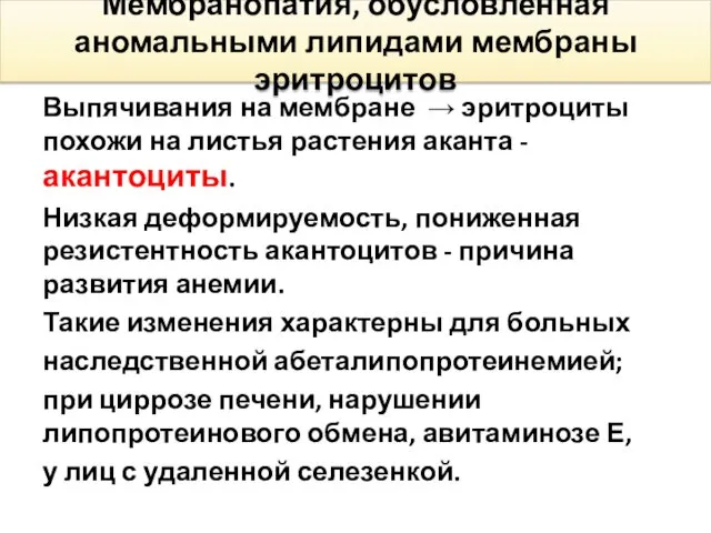 Мембранопатия, обусловленная аномальными липидами мембраны эритроцитов Выпячивания на мембране →