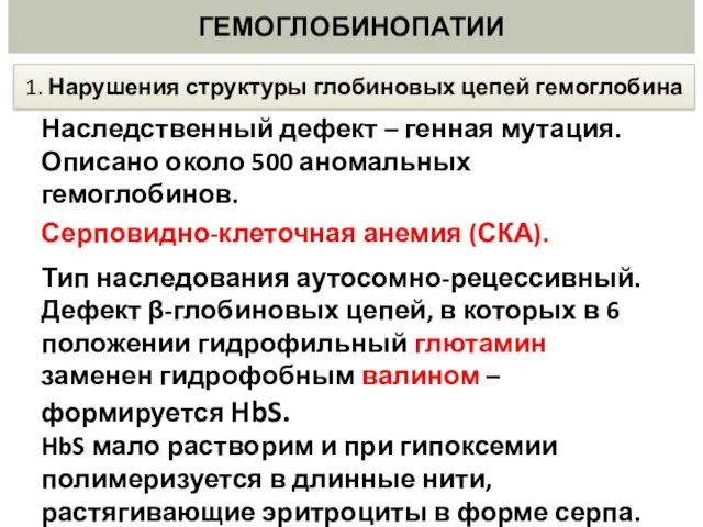 ГЕМОГЛОБИНОПАТИИ Наследственный дефект – генная мутация. Описано около 500 аномальных