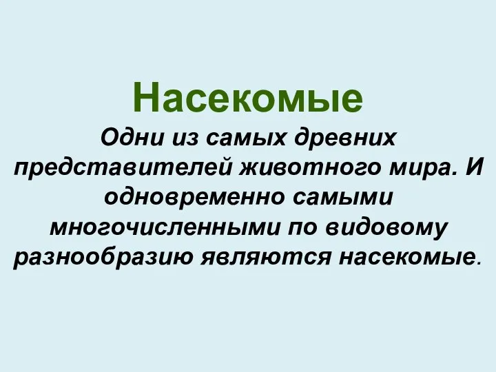 Насекомые Одни из самых древних представителей животного мира. И одновременно