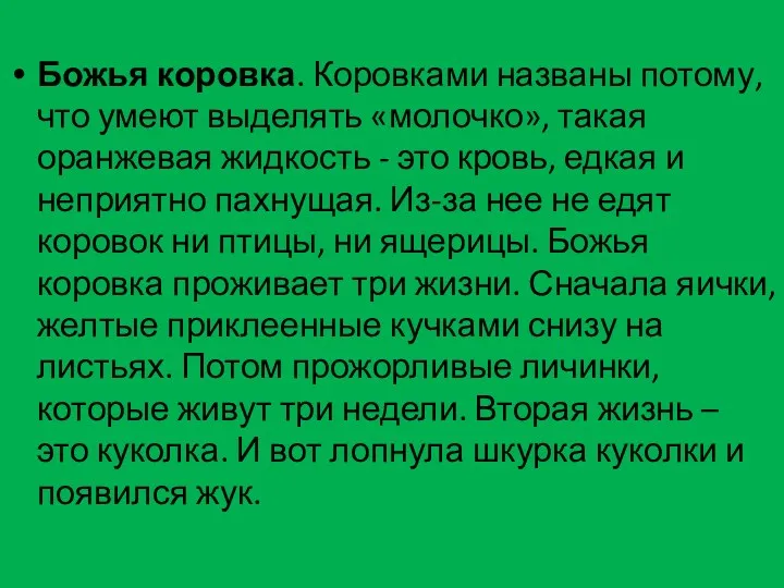 Божья коровка. Коровками названы потому, что умеют выделять «молочко», такая оранжевая жидкость -