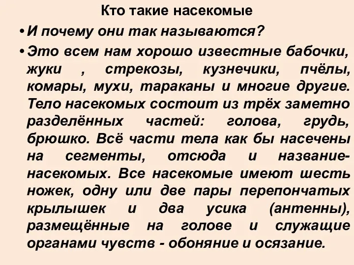 Кто такие насекомые И почему они так называются? Это всем нам хорошо известные