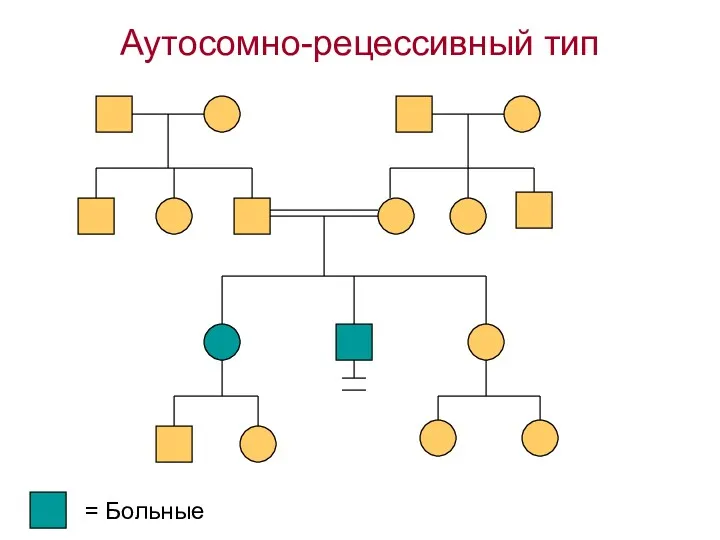 Аутосомно-рецессивный тип = Больные