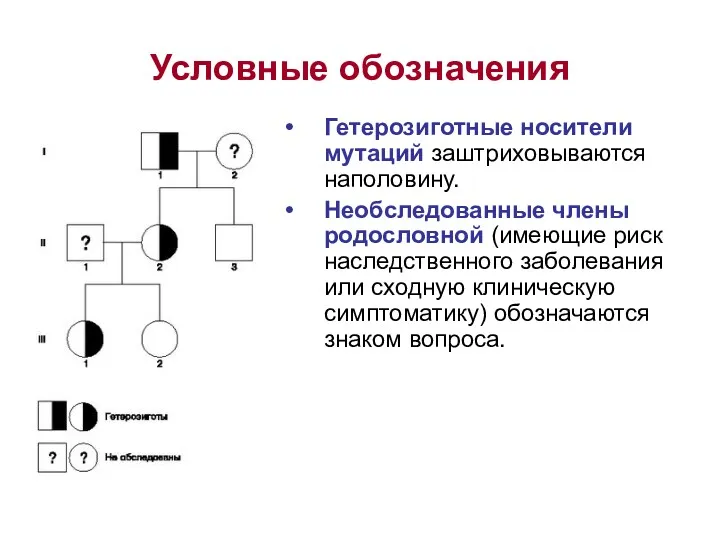 Условные обозначения Гетерозиготные носители мутаций заштриховываются наполовину. Необследованные члены родословной