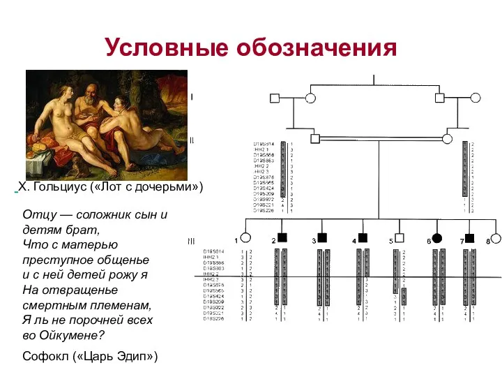 Условные обозначения Отцу — соложник сын и детям брат, Что