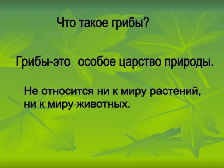 Что такое грибы? Грибы-это особое царство природы. Не относится ни