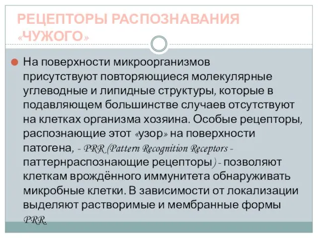 РЕЦЕПТОРЫ РАСПОЗНАВАНИЯ «ЧУЖОГО» На поверхности микроорганизмов присутствуют повторяющиеся молекулярные углеводные