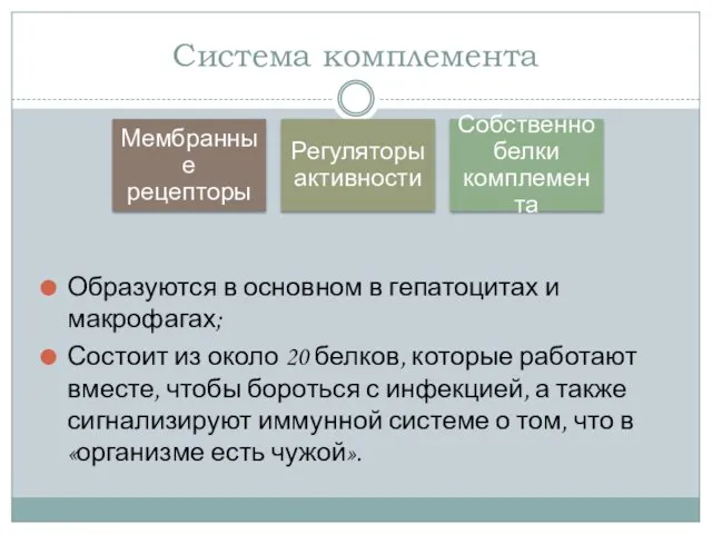 Система комплемента Образуются в основном в гепатоцитах и макрофагах; Состоит