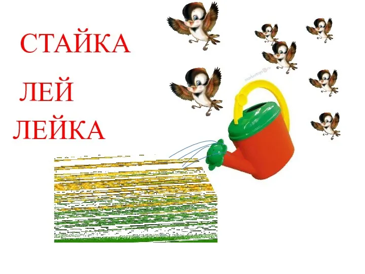 ЛЕЙ ЛЕЙКА СТАЙКА