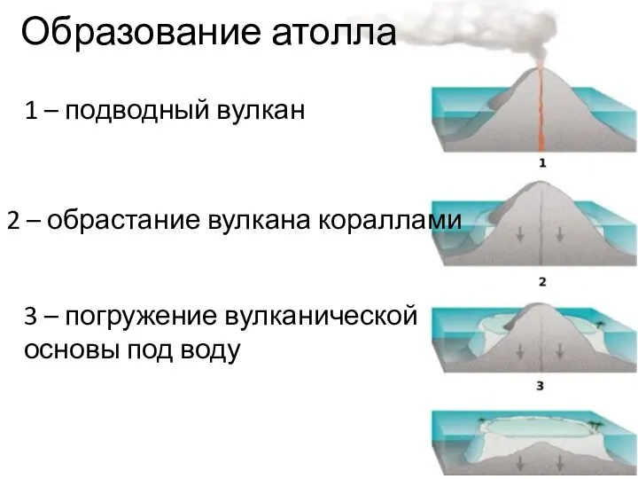 1 – подводный вулкан 2 – обрастание вулкана кораллами 3