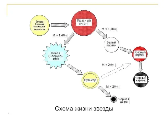Схема жизни звезды