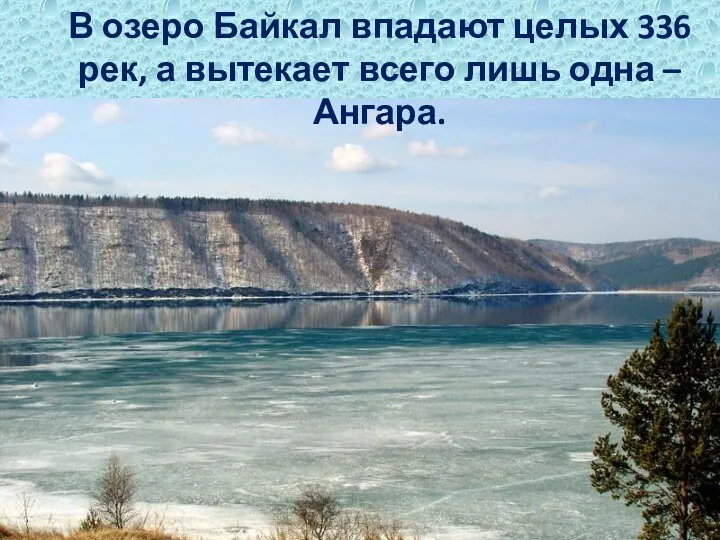 В озеро Байкал впадают целых 336 рек, а вытекает всего лишь одна – Ангара.