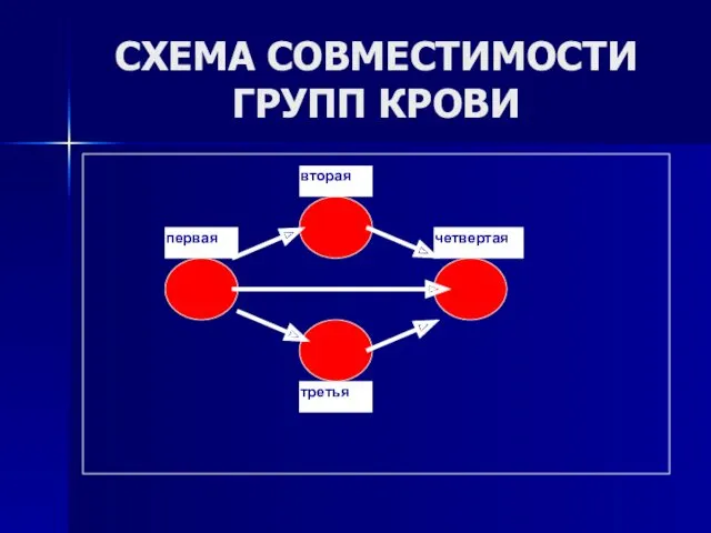 СХЕМА СОВМЕСТИМОСТИ ГРУПП КРОВИ первая вторая четвертая третья