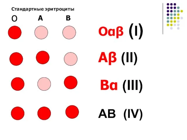 Стандартные эритроциты о А В Оαβ (I) Аβ (II) Вα (III) AB (IV)