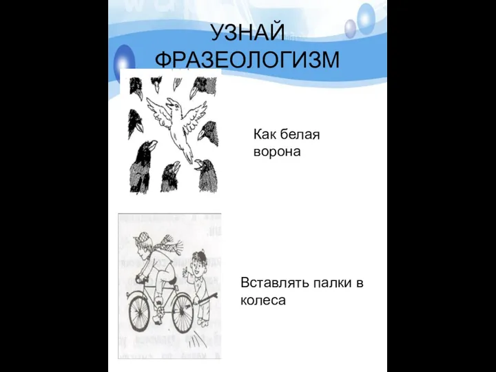 УЗНАЙ ФРАЗЕОЛОГИЗМ Как белая ворона Вставлять палки в колеса