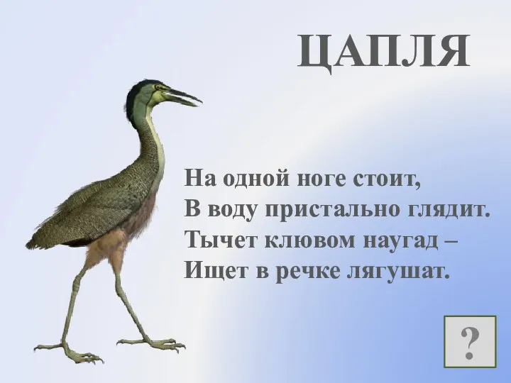 На одной ноге стоит, В воду пристально глядит. Тычет клювом