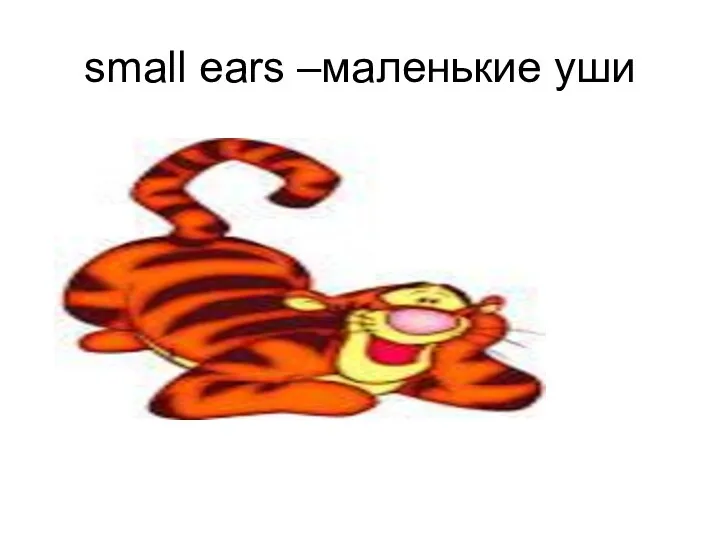 small ears –маленькие уши