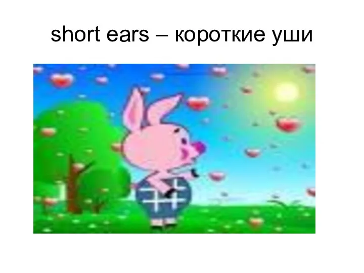 short ears – короткие уши