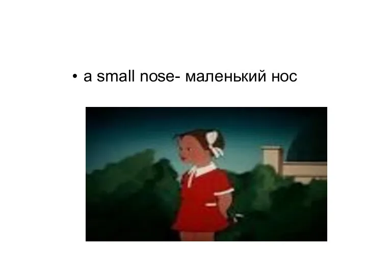 a small nose- маленький нос