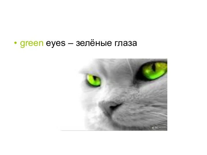 green eyes – зелёные глаза