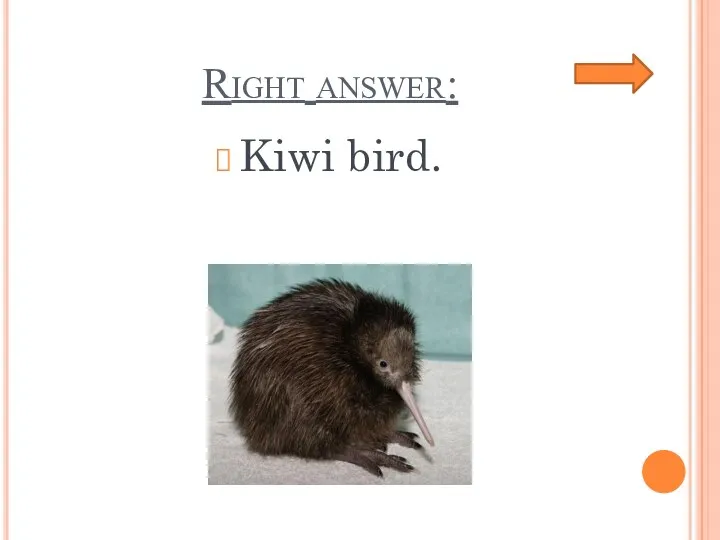 Right answer: Kiwi bird.