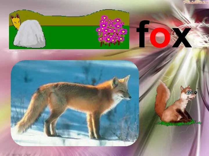 fox