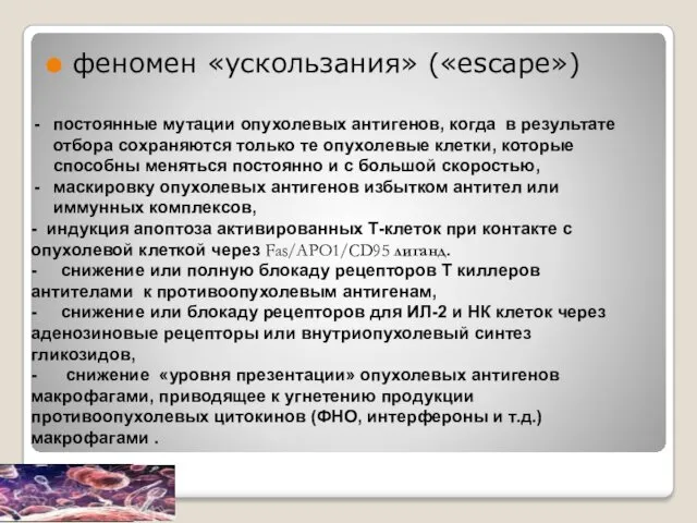 феномен «ускользания» («escape») постоянные мутации опухолевых антигенов, когда в результате