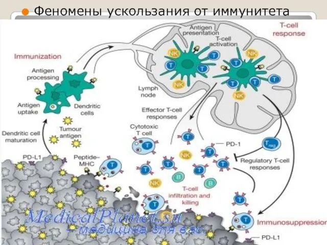 Феномены ускользания от иммунитета
