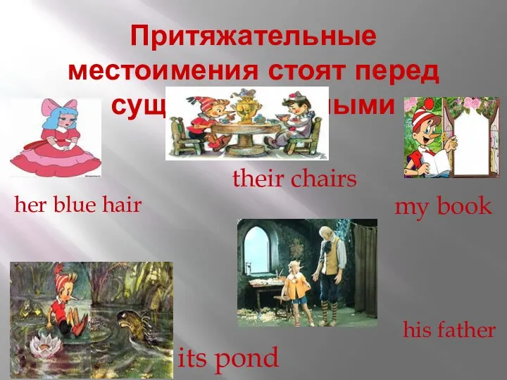 Притяжательные местоимения стоят перед существительными her blue hair its pond my book their chairs his father